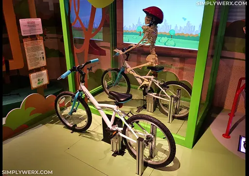 Cycling with Skeleton